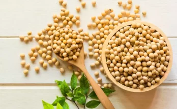 What are the Benefits of Soy Food in Your Diet?