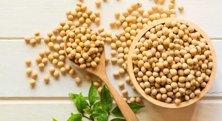 What are the Benefits of Soy Food in Your Diet?