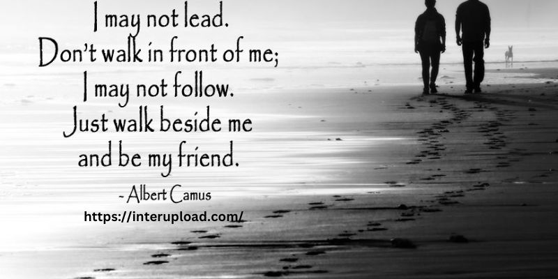 Don’t walk in front of me, I may not follow. Don’t walk behind me, I may not lead. Walk beside me and be my friend.”