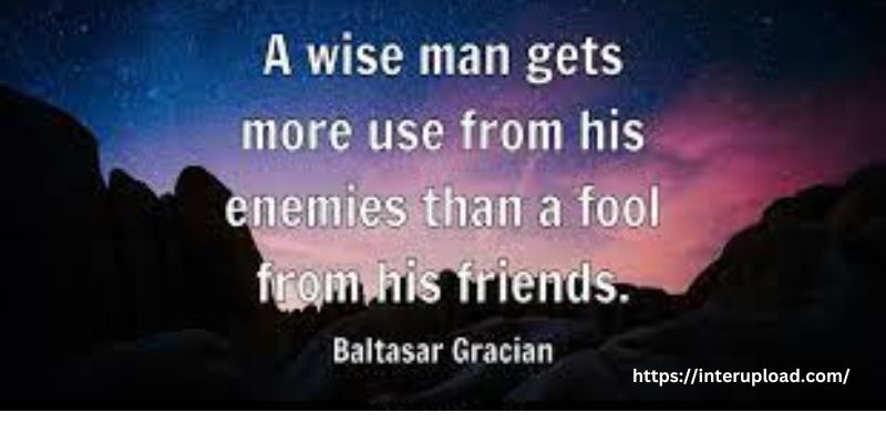 “A wise man gets more use from his enemies than a fool from his friends.” ~ Baltasar Gracian