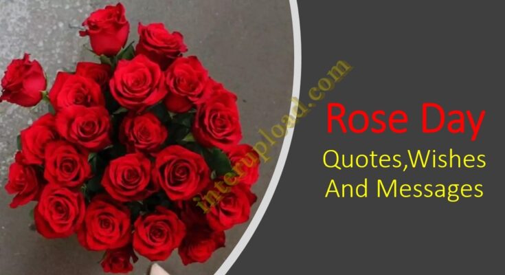 Rose Day Quotes,Wishes And Messages