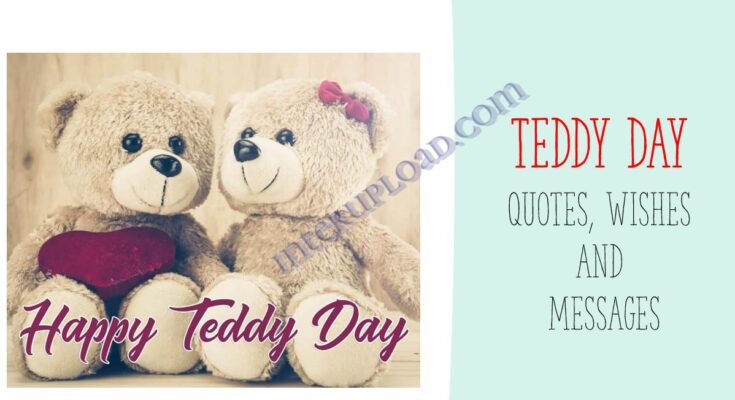 Teddy Day Quotes, Wishes and Messages