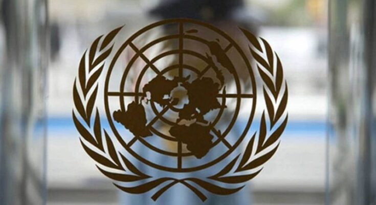 India Elected To UN Statistical Commission, Other Key Subsidiary Bodies