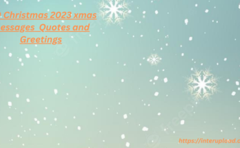 150 Christmas 2023 xmas messages Quotes and Greetings