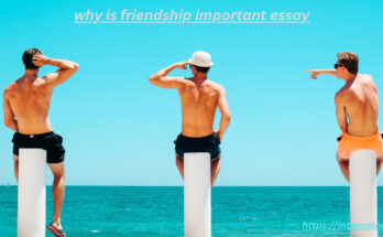 why is friendship important essay