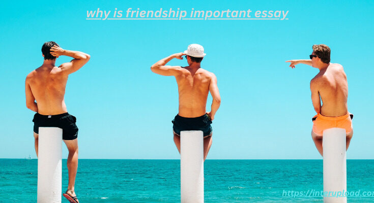 why is friendship important essay