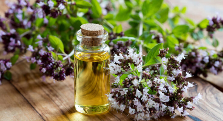 wellhealthorganic.com:health-benefits-and-side-effects-of-oil-of-oregano