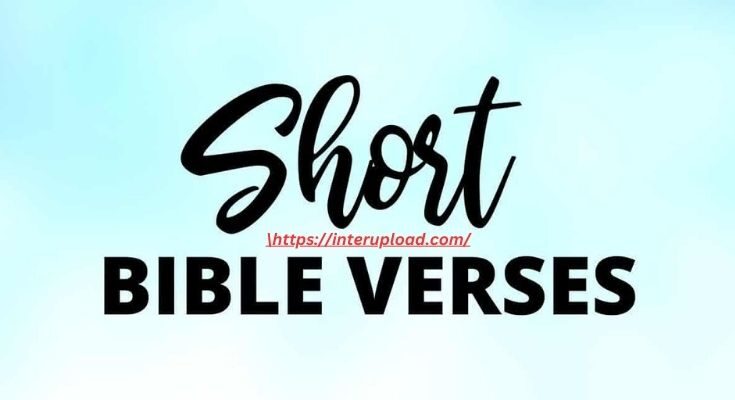 140 Bible Verses and Bible Quotes about life