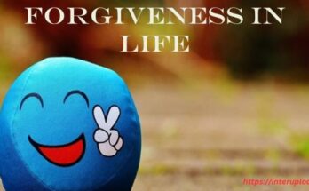 150 love forgiveness quotes in life