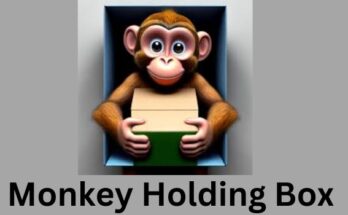 Monkey Holding a Box: A Google Search Blunder Exposed