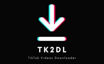 TK2DL: Your Ultimate TikTok Video Downloading Solution